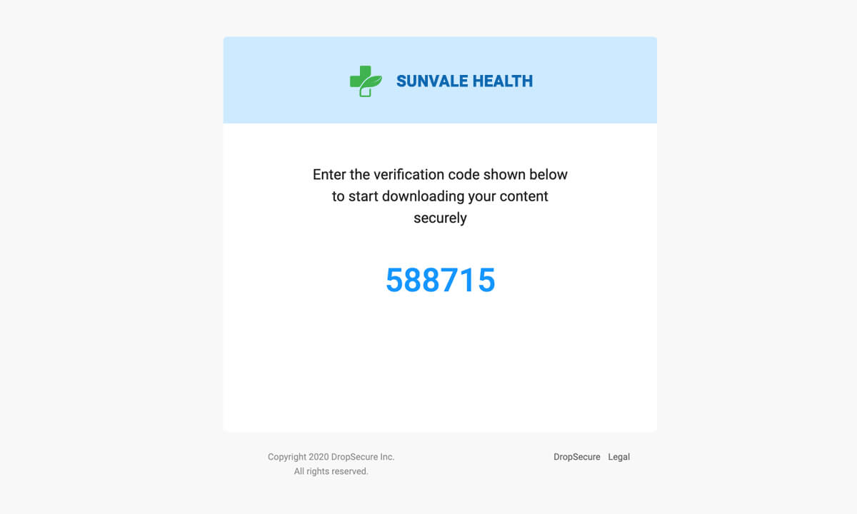 Every recipient is verified before allowing access to download the files you send. All unregistered users need to enter a one-time verification code (OTP) in order to download any files sent to them.